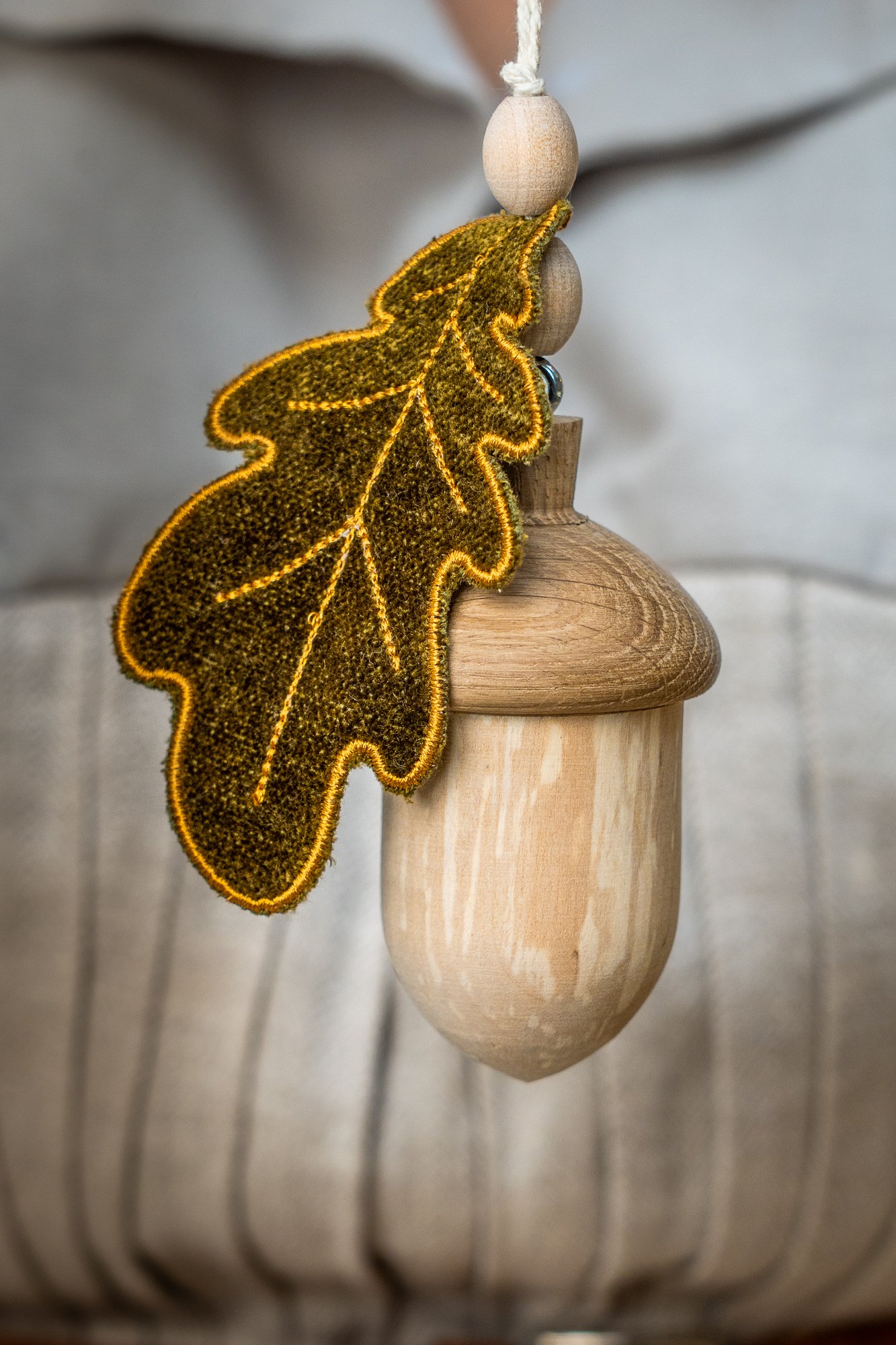 DSC00506 Acorn - Image 1